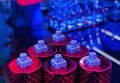 杭州给小费多的夜总会ktv招聘包厢气氛组,过年放假吗？